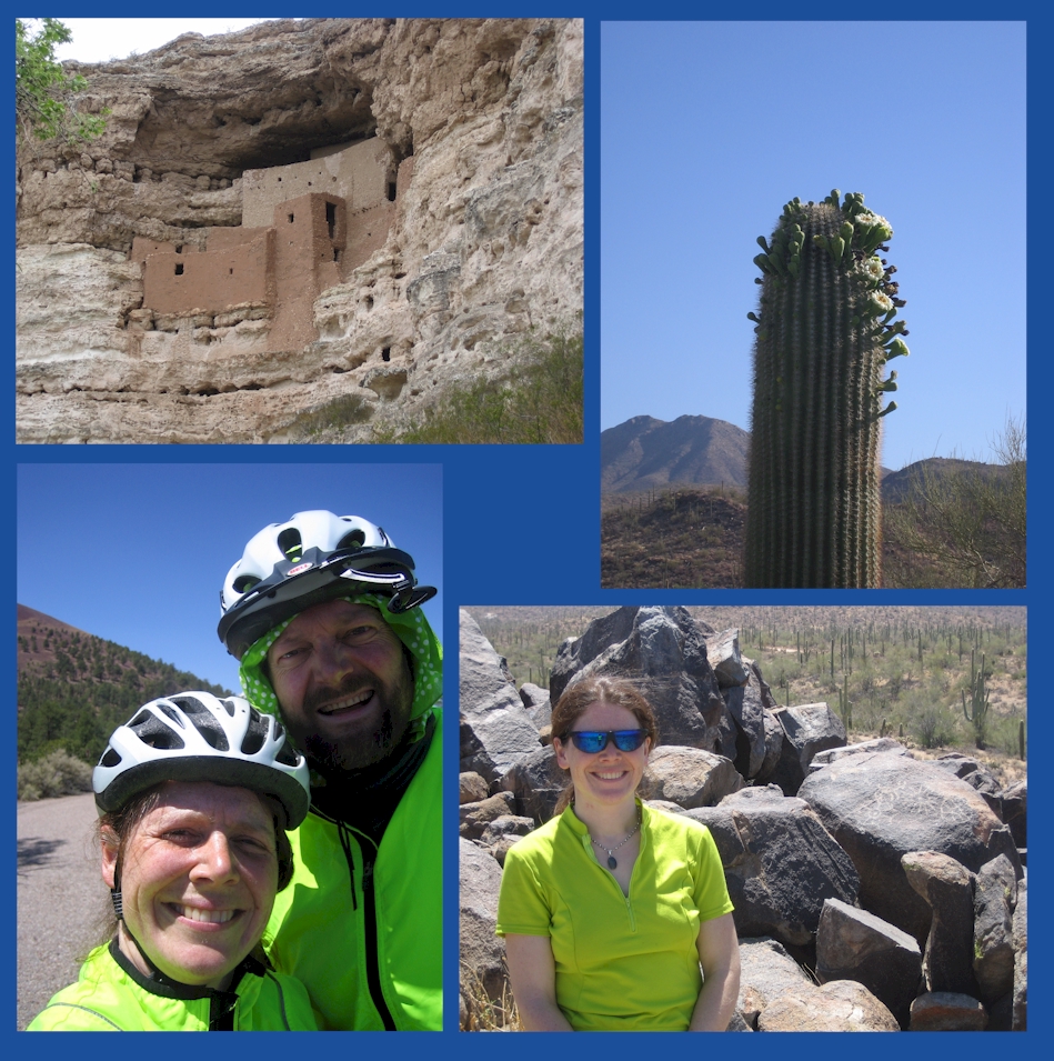 saguaro.jpg (708697 bytes)